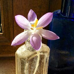Catherine Strong Photo 37