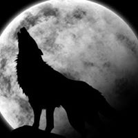Stephen Wolf Photo 43