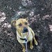 Layla Shell Photo 9