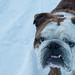 Rodney Winters Photo 17