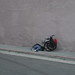 Chris Daley Photo 28