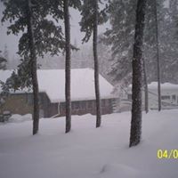 Kenneth Reis Photo 3