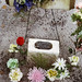 Lee Farley Photo 19