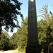 William Skirving Photo 5