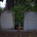 Virginia Freeman Photo 21