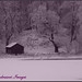 Milton Winters Photo 1