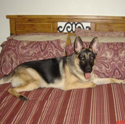 Lester Cook Photo 7