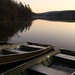 Dawn Pelham Photo 12