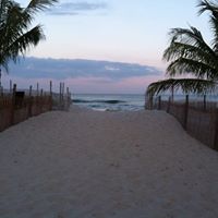 Susan Leichtnam Photo 1
