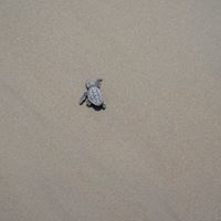 Paula Dailey Photo 8