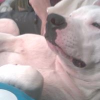 Jennifer Gibb Photo 7