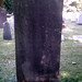 Elizabeth Wilcox Photo 38