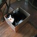 Gary Box Photo 14