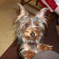 Theresa Miller Photo 6