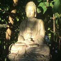 Deborah Huber Photo 21