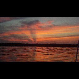 Susan Alford Photo 17