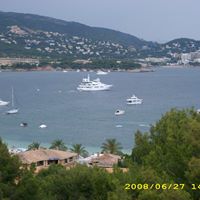 Nancy Falk Photo 7