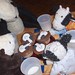 Shelly Marshall Photo 11