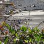 Donna Clement Photo 6