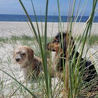Ellen Guenther Photo 13