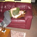 Paula Warren Photo 37