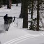 Bryce Robinson Photo 28