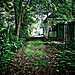 Deborah Alley Photo 13