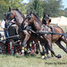 Josh Rector Photo 45