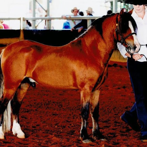 Catherine Wise Photo 25