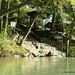 Dianne Turner Photo 26