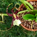 Barbara Bivens Photo 3