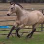 Linda Ratliff Photo 19