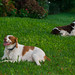 Stanley Archie Photo 8