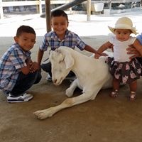 Susana Torres Photo 26