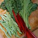 Ruby Bean Photo 8