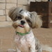 Tammy Cooper Photo 8