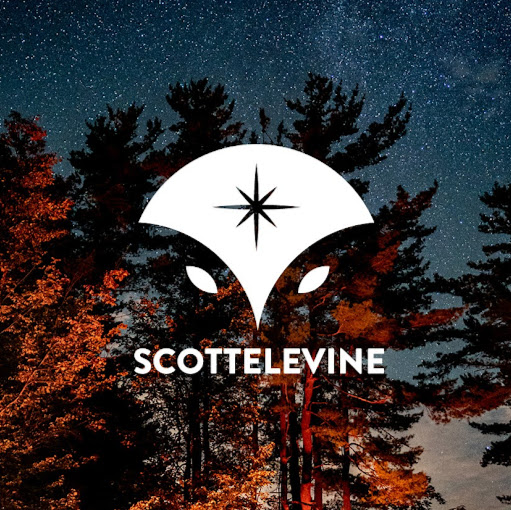 Scott Levine Photo 17