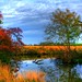 Geraldine Garrison Photo 9