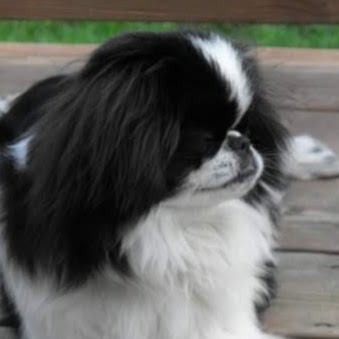 Sherry Debolt Photo 3