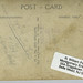 Robert Pauley Photo 8