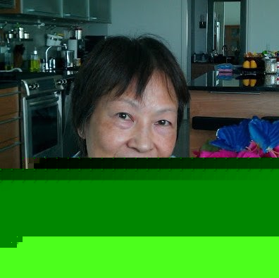 Anita Shen Photo 7