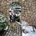 Ricky Snow Photo 12