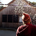 Laurie Whitaker Photo 25