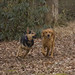 Casey Wells Photo 28