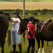 Cindy Tack Photo 15