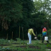 Carolyn Sweat Photo 9