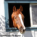 William Cowart Photo 19