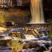 Marshall Thornton Photo 15