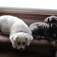 Heather Wilkie Photo 9