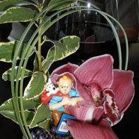 Julie Cruse Photo 19